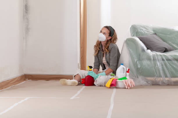 Reliable Mold Remediation contractor in Linden, NJ by Cheap Mold Removal